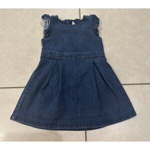 Janie and Jack Girls Size 4 Medium Wash Denim Dress Ruffle Sleeves Pleated Skirt